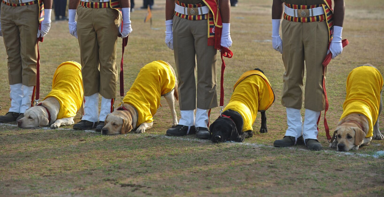 Indian Railway Protection Force (RPF) dog squad personnel perform a drill during Republic Day celebrations in Secunderabad on January 26, 2015. NOAH SEELAM/AFP/Getty Images